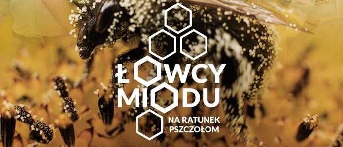 Wernisaż oraz film “Łowcy Miodu”