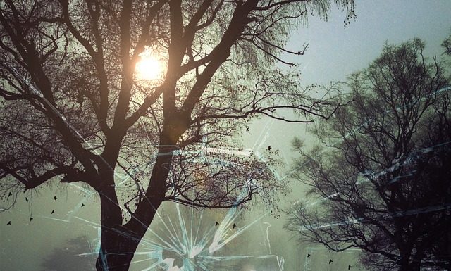 Z awantury domowej do aresztu