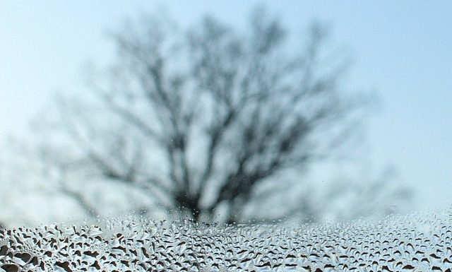 IMGW ostrzega – będzie wiało!!!