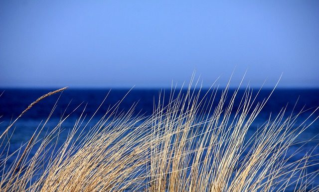 „Zielona Szkoła” w Mrzeżynie