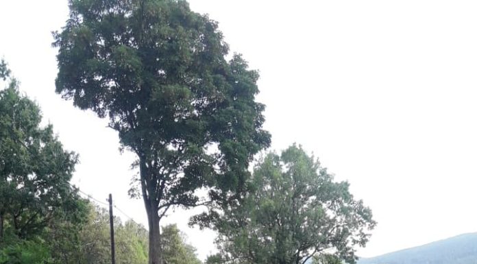 Ulica Dolna – nie mamy wjazdu do domów…