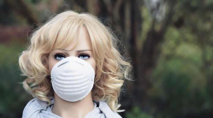 Rząd otworzy sklepy, lasy i parki. Znamy szczegóły