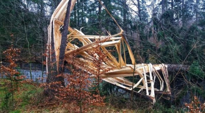 Częściowe odwołanie okresowego zakazu wstępu do lasu