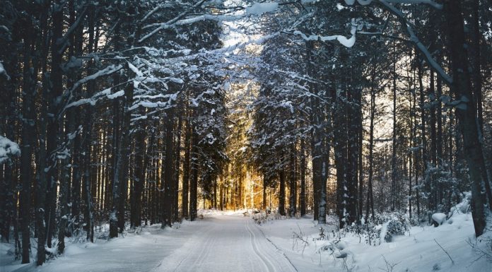 16-17.01.2021 SKI&SUN szykuje niespodziankę – jaką?