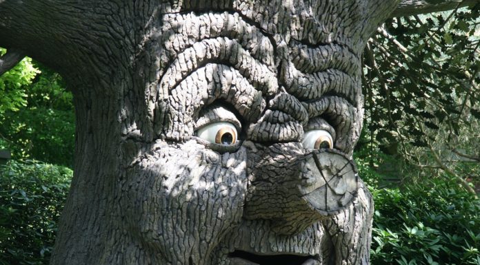 Żabi Park rozrywki – kiedy będzie?